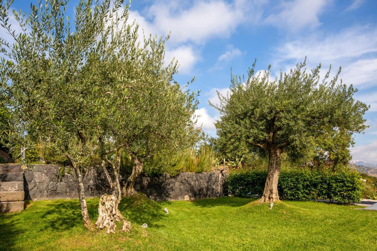 Design Villa in Piedimonte Etneo Eksteriør billede